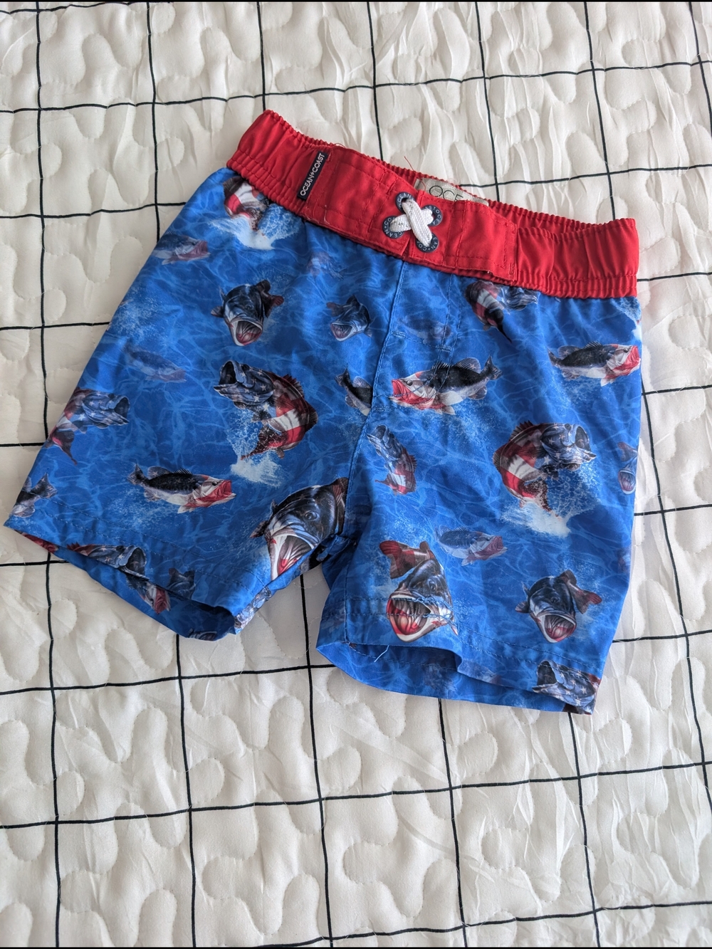 Fish Swim Trunks